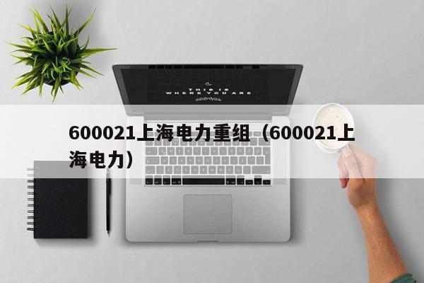 600021上海电力重组（600021上海电力）（600021 上海电力）