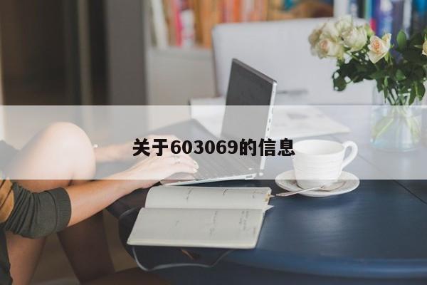 关于603069的信息（603059）