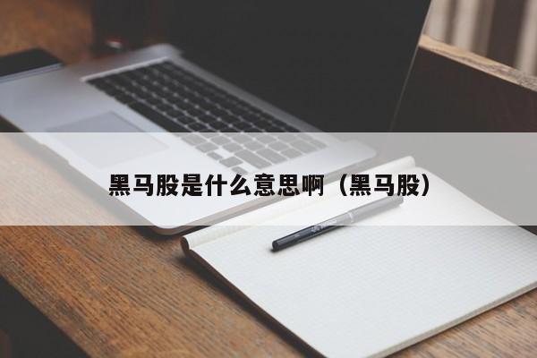 黑马股是什么意思啊（黑马股）（黑马股是什么意思?）