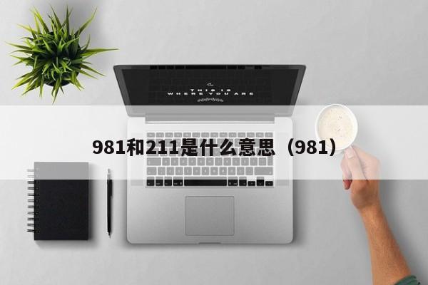 981和211是什么意思（981）（981 211是什么）