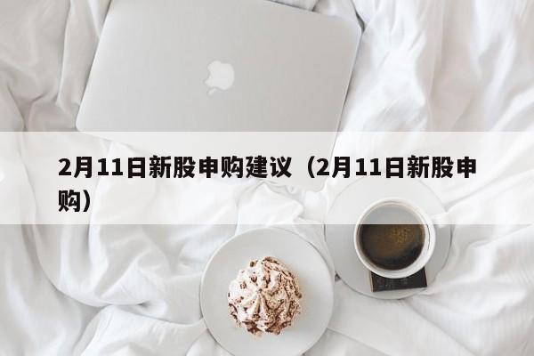 2月11日新股申购建议（2月11日新股申购）（10月22日新股申购）