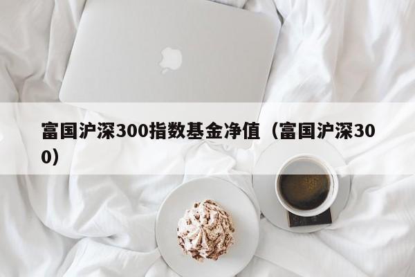 富国沪深300指数基金净值（富国沪深300）（富国沪深300指数基金净值查询）