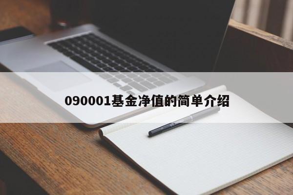 090001基金净值的简单介绍（090001基金净值今日净值查询）