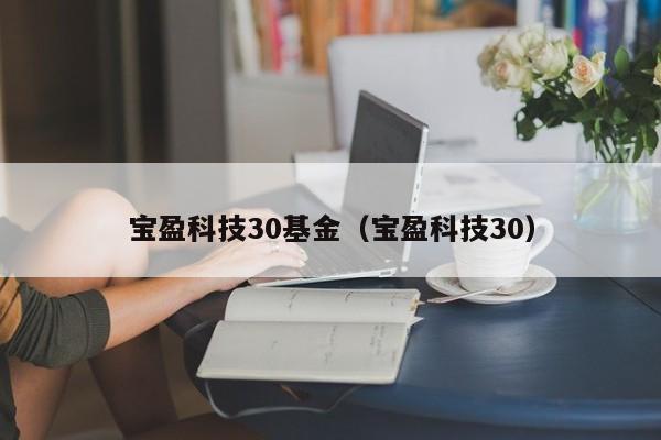 宝盈科技30基金（宝盈科技30）（宝盈科技30是什么基金）