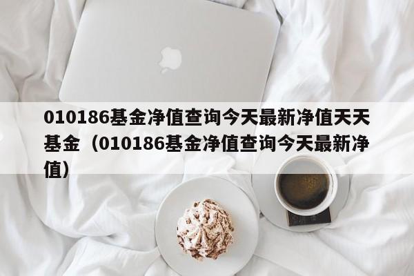 010186基金净值查询今天最新净值天天基金（010186基金净值查询今天最新净值）