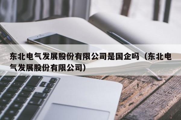 东北电气发展股份有限公司是国企吗（东北电气发展股份有限公司）