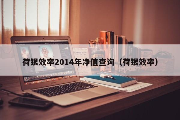 荷银效率2014年净值查询（荷银效率）