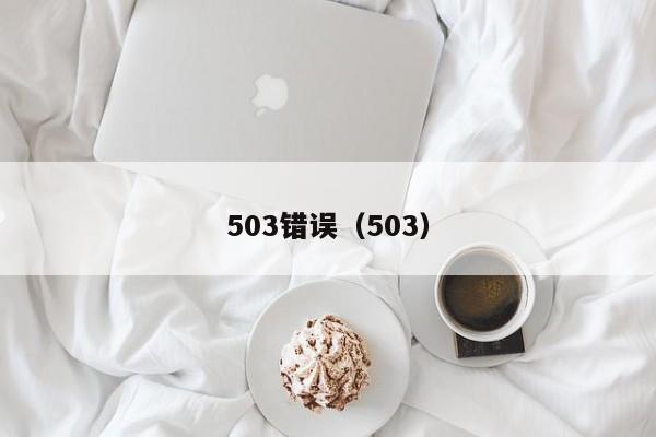 503错误（503）