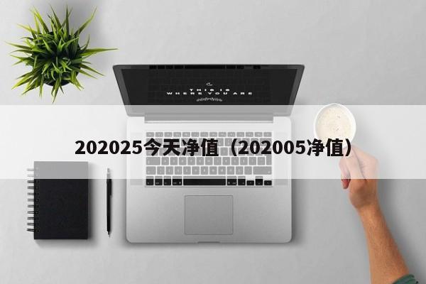 202025今天净值（202005净值）