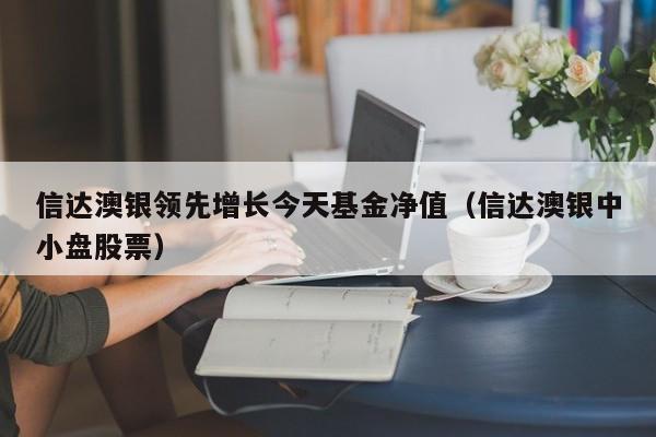 信达澳银领先增长今天基金净值（信达澳银中小盘股票）