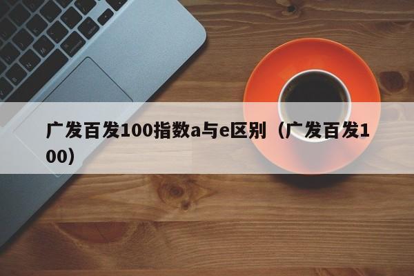 广发百发100指数a与e区别（广发百发100）