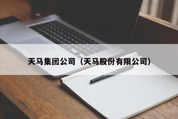 天马集团公司（天马股份有限公司）