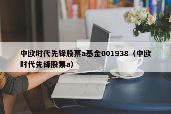 中欧时代先锋股票a基金001938（中欧时代先锋股票a）