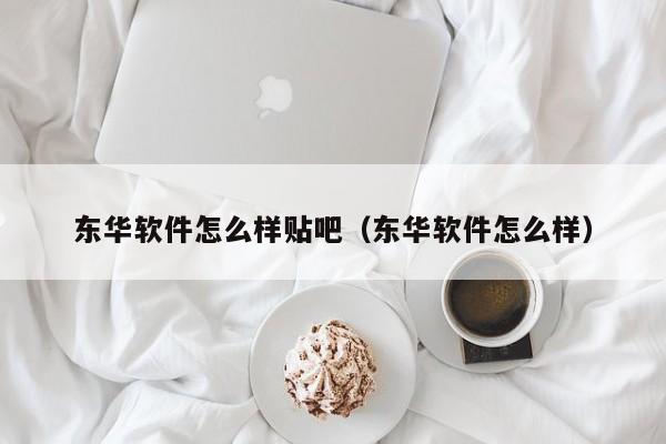 东华软件怎么样贴吧（东华软件怎么样）