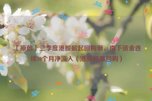 【原创】三季度港股掀起回购潮，南下资金连续10个月净流入（港股股票回购）