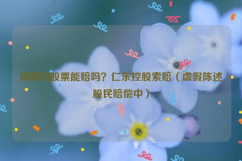 你跌的股票能赔吗？仁东控股索赔（虚假陈述股民赔偿中）