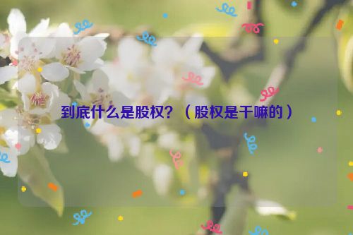 到底什么是股权？（股权是干嘛的）