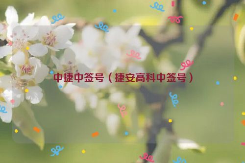 中捷中签号（捷安高科中签号）