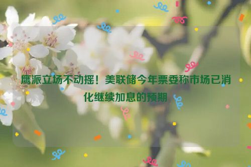 鹰派立场不动摇！美联储今年票委称市场已消化继续加息的预期