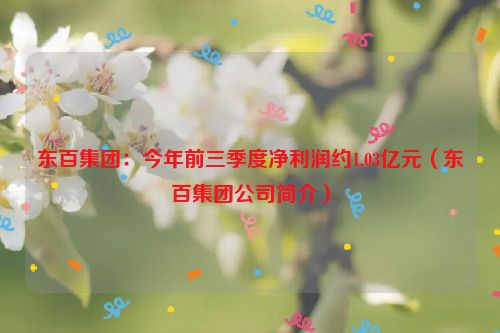 东百集团：今年前三季度净利润约1.03亿元（东百集团公司简介）