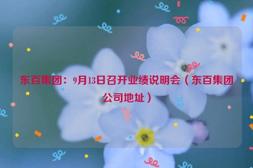 东百集团：9月13日召开业绩说明会（东百集团公司地址）