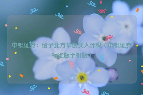 中银证券：给予北方华创买入评级（中银证券标准版手机版）