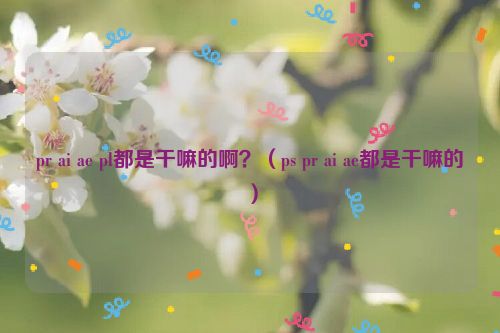 pr ai ae pl都是干嘛的啊？（ps pr ai ae都是干嘛的）