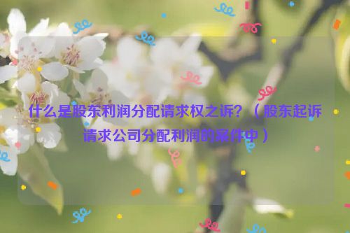 什么是股东利润分配请求权之诉？（股东起诉请求公司分配利润的案件中）