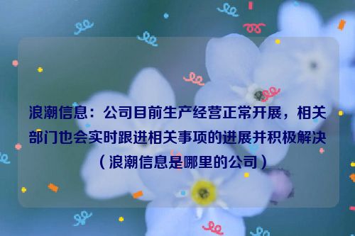 浪潮信息：公司目前生产经营正常开展，相关部门也会实时跟进相关事项的进展并积极解决（浪潮信息是哪里的公司）