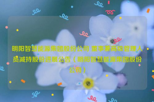 明阳智慧能源集团股份公司 董事兼高级管理人员减持股份进展公告（明阳智慧能源集团股份公司）