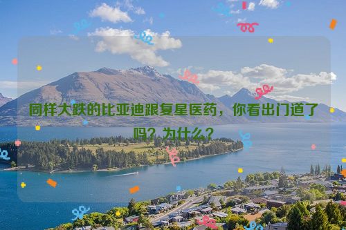 同样大跌的比亚迪跟复星医药，你看出门道了吗？为什么？