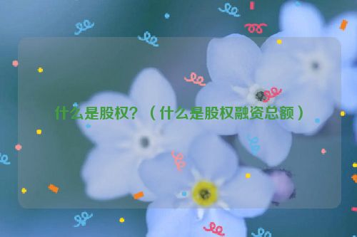 什么是股权？（什么是股权融资总额）