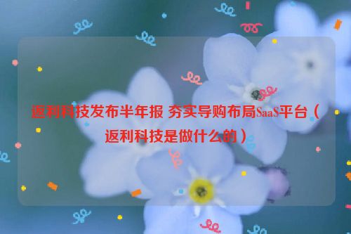 返利科技发布半年报 夯实导购布局SaaS平台（返利科技是做什么的）