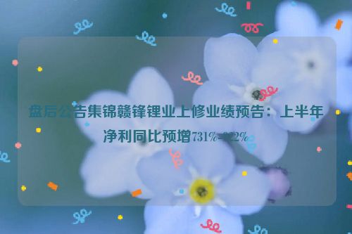 盘后公告集锦赣锋锂业上修业绩预告：上半年净利同比预增731%-922%