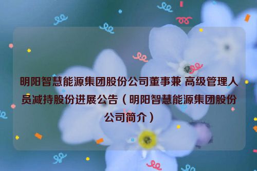 明阳智慧能源集团股份公司董事兼 高级管理人员减持股份进展公告（明阳智慧能源集团股份公司简介）