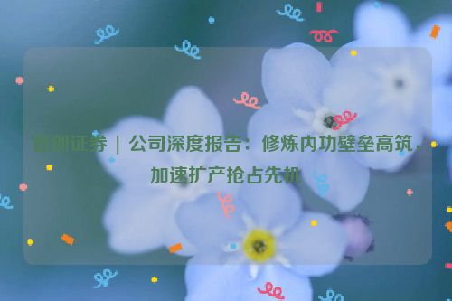 首创证券 | 公司深度报告：修炼内功壁垒高筑，加速扩产抢占先机