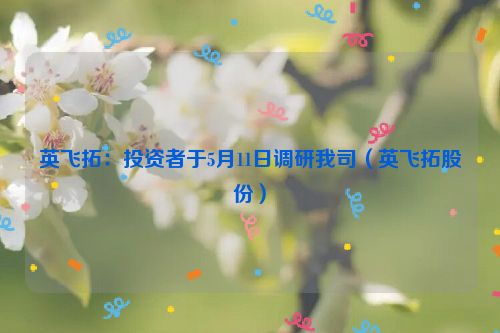 英飞拓：投资者于5月11日调研我司（英飞拓股份）