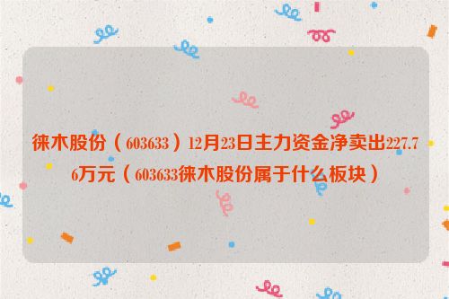 徕木股份（603633）12月23日主力资金净卖出227.76万元（603633徕木股份属于什么板块）