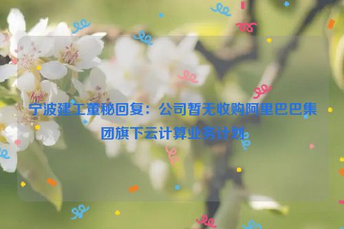 宁波建工董秘回复：公司暂无收购阿里巴巴集团旗下云计算业务计划