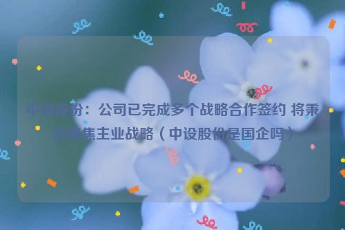 中设股份：公司已完成多个战略合作签约 将秉持聚焦主业战略（中设股份是国企吗）