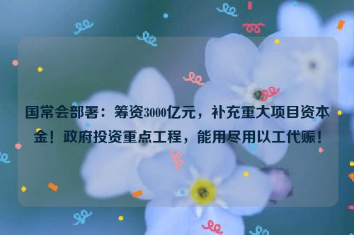 国常会部署：筹资3000亿元，补充重大项目资本金！政府投资重点工程，能用尽用以工代赈！