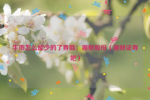 牛市怎么能少的了券商：湘财股份（湘财证券吧）