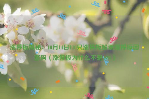 涨停板揭秘：10月14日110只涨停板股票涨停原因密码（涨停板为什么不是10%）