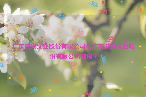 广东洪兴实业股份有限公司（广东洪兴实业股份有限公司财报）