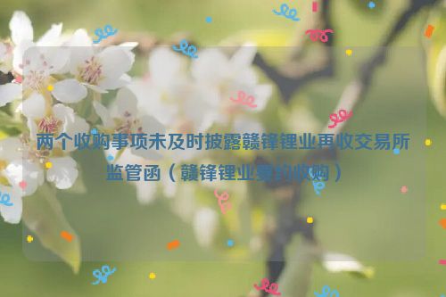 两个收购事项未及时披露赣锋锂业再收交易所监管函（赣锋锂业要约收购）