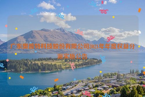 广东奥普特科技股份有限公司2021年年度权益分派实施公告