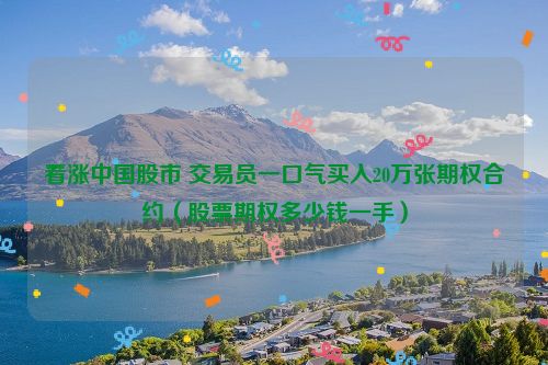 看涨中国股市 交易员一口气买入20万张期权合约（股票期权多少钱一手）