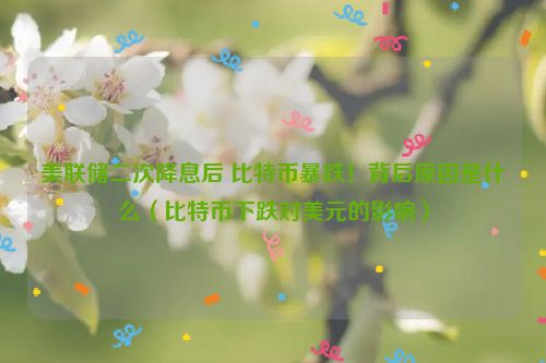 美联储二次降息后 比特币暴跌！背后原因是什么（比特币下跌对美元的影响）