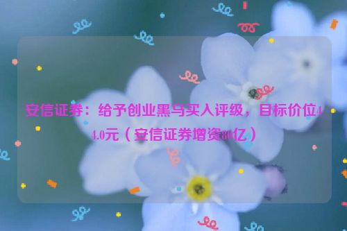 安信证券：给予创业黑马买入评级，目标价位44.0元（安信证券增资80亿）