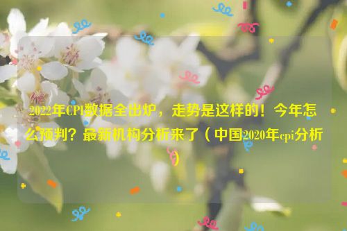 2022年CPI数据全出炉，走势是这样的！今年怎么预判？最新机构分析来了（中国2020年cpi分析）